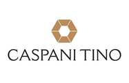 Caspani Tino Group